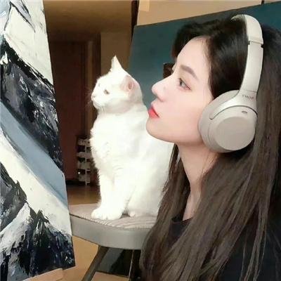 齐姆与友