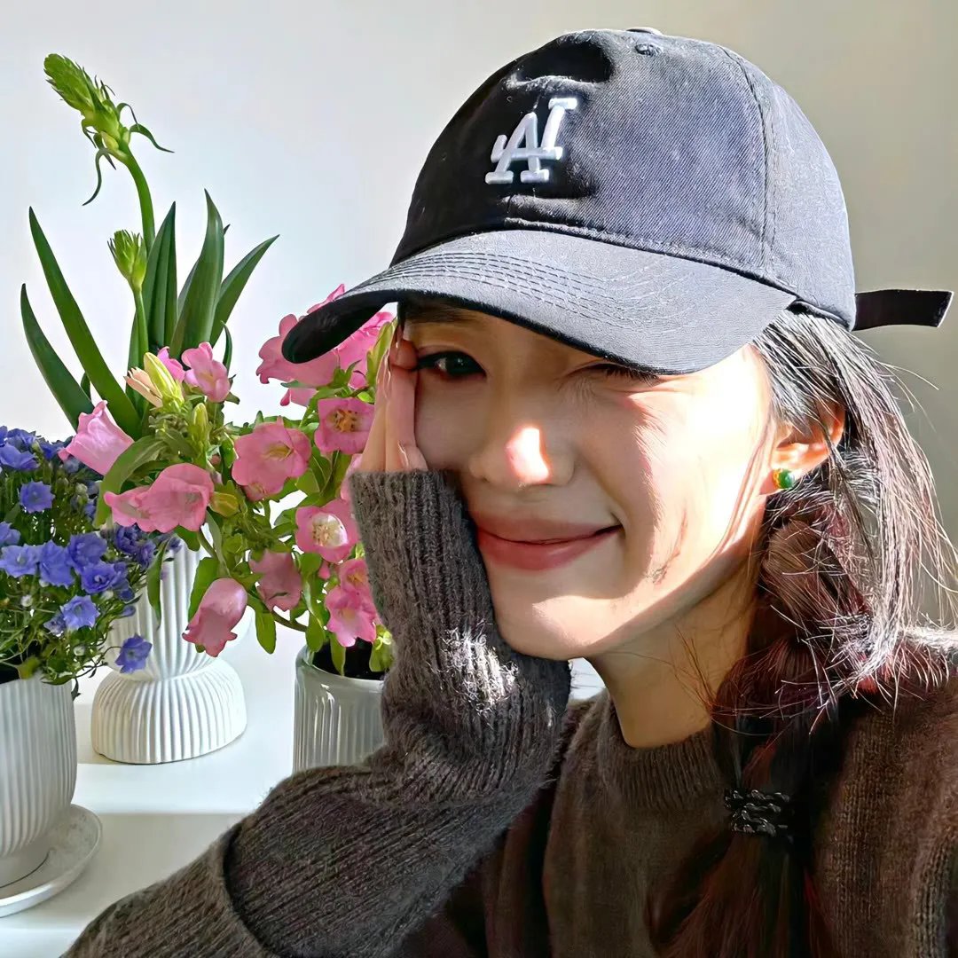 樱花树下的时间胶囊