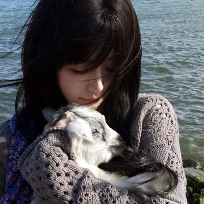 穿靴子的猫
